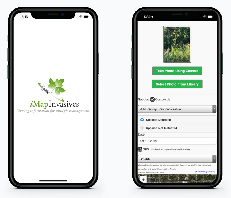 Two phones are displaying the iMapInvasives application. The phone on the left has the iMpaInvsaives logo and the one on the right has the user interface.