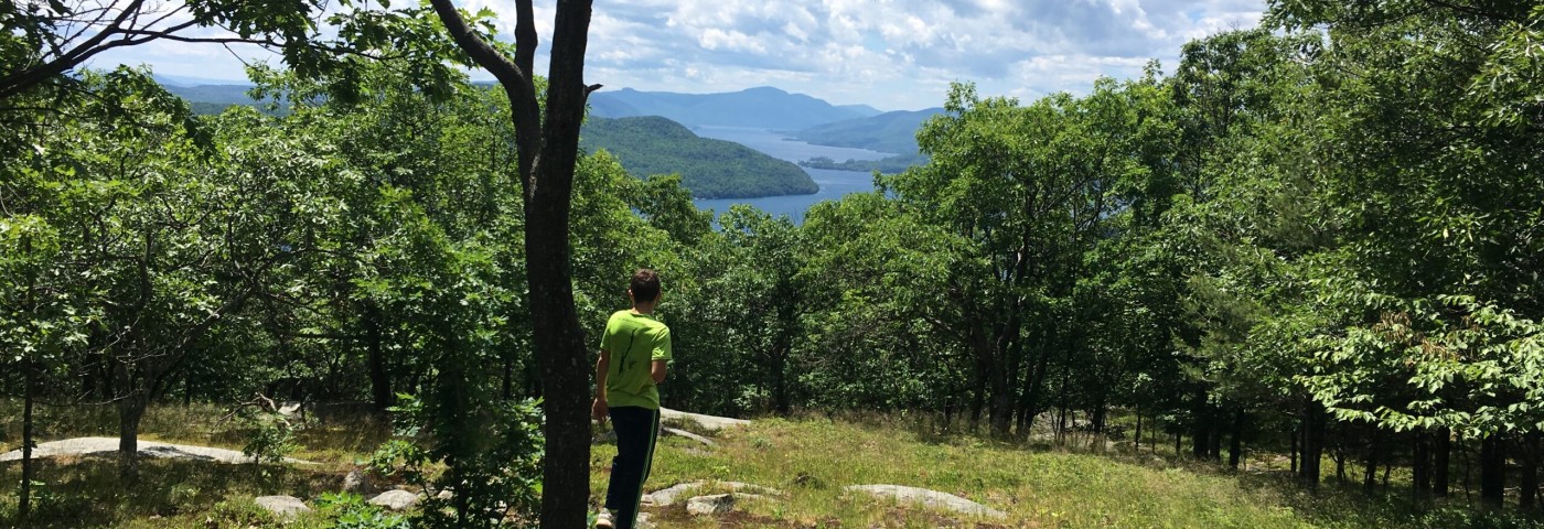 A boy in green looks towards Lake George from Cook mountain. There are lush green trees and mountains peaks in the background.