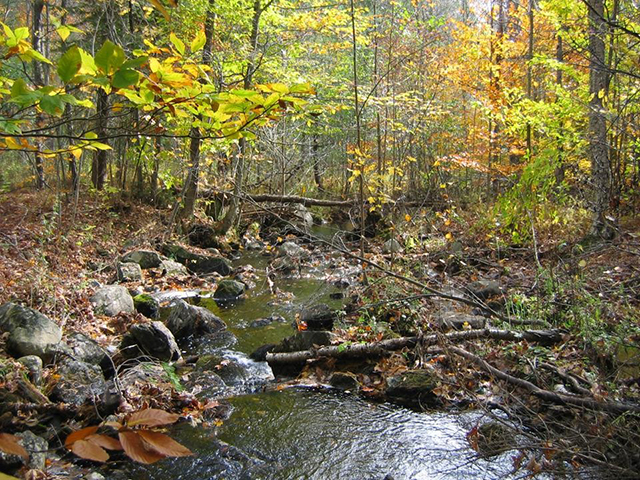 View of Indian Brook. There are trees and rocks around the water. A fallen tree can be seen in the distance.