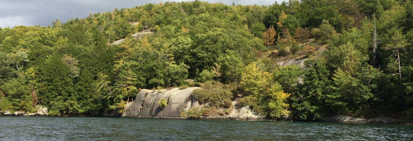 Close up of The Last Great Shoreline showing smooth rocks and lush gree trees with some turning yellow.