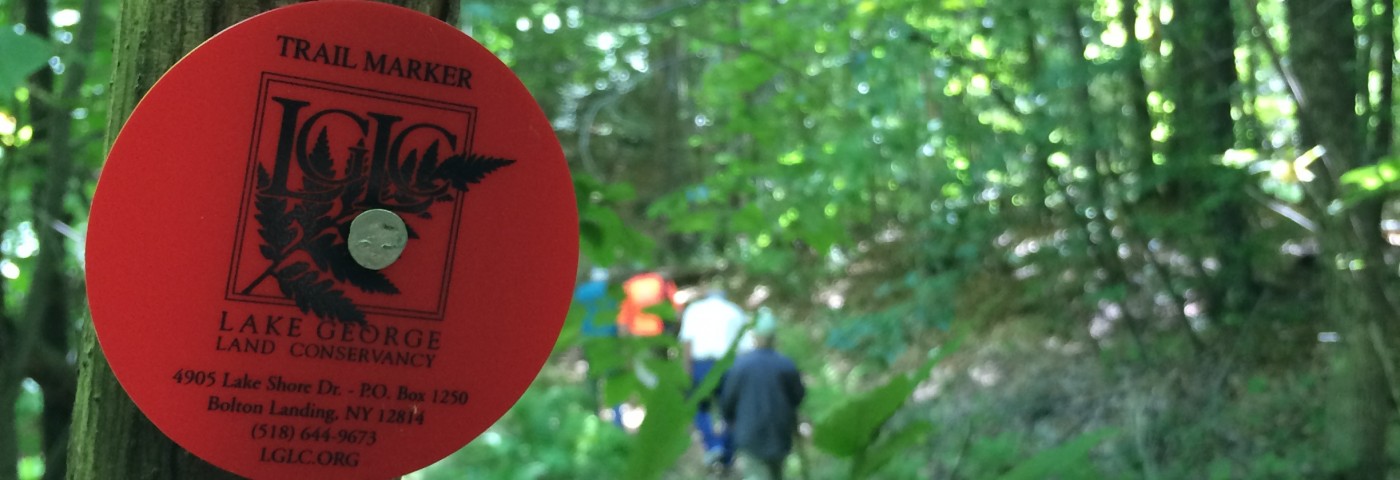 A circular red sign posted on a tree trunk that reads 