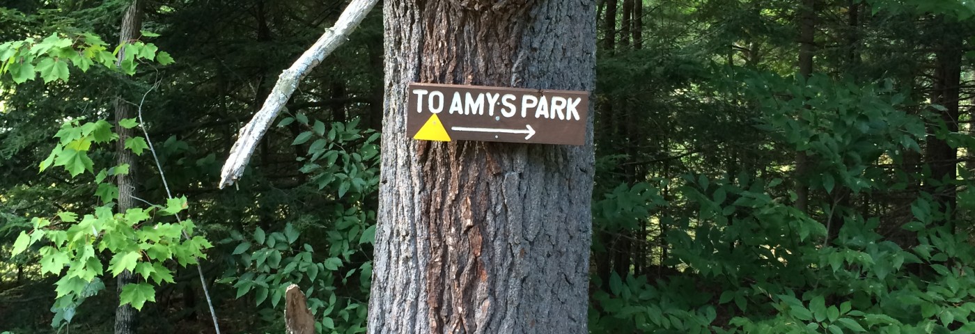A rectangular sign posted on a tree trunk that reads 