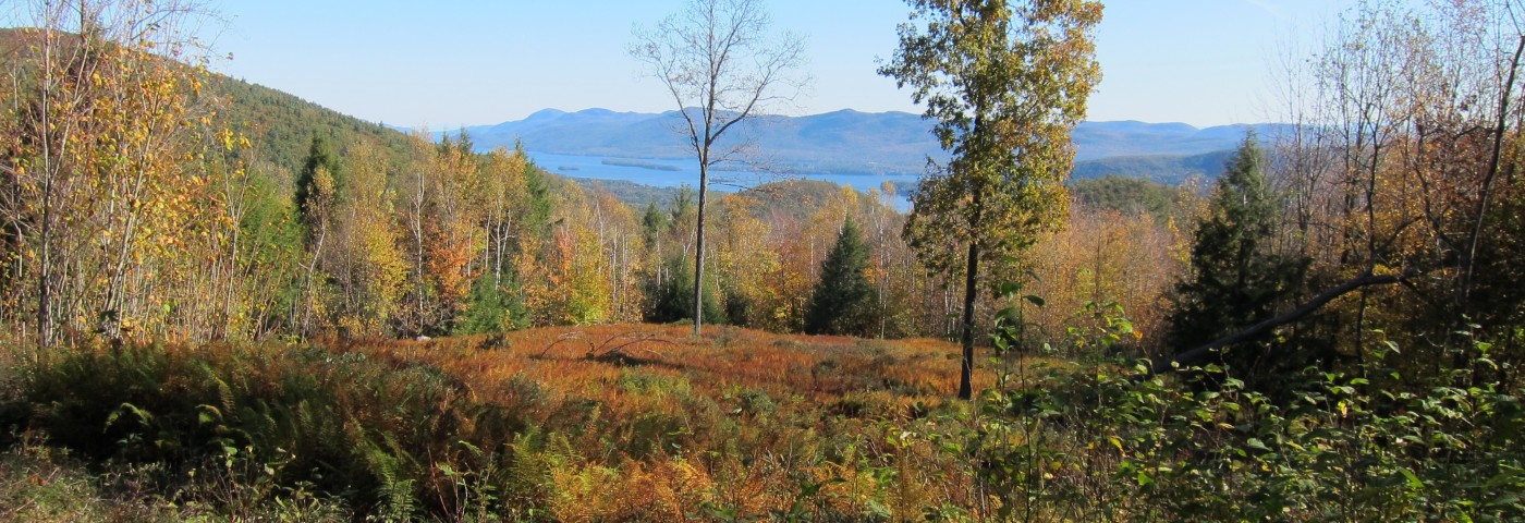 A large open field covered in autumn colors with a view of Lake George in the distance.