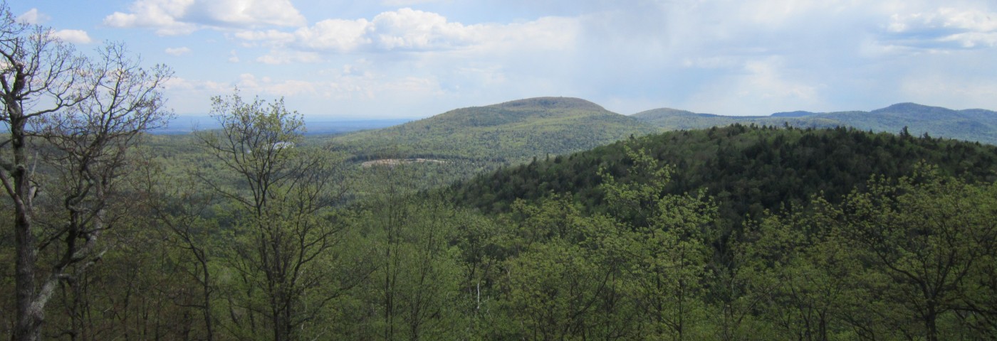 View form top of a mountain where a large lush forest can be seen covering mountains in the distance.