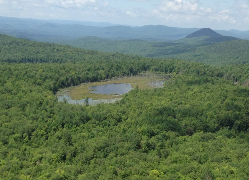 Aerial view of Berry Pond surround by lush green forest and mountains.