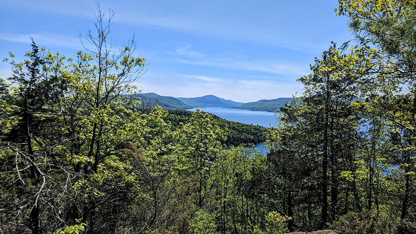 A view of Lake George from top of Sucker Brook conservation. There are lush green trees and a blue sky. The water is blue and calm.