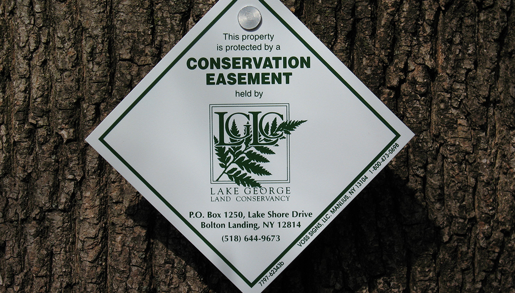 Close up of a tree bark with a triangular sign posted on it. The sign reads: This property is protected by a Conservation Easement held by (the lake george logo can be seen here) Lake George Land Conservancy. P.O. Bow 1250, Lake Shore Drive Bolton Landing, NY 12814 (518) 644-9673