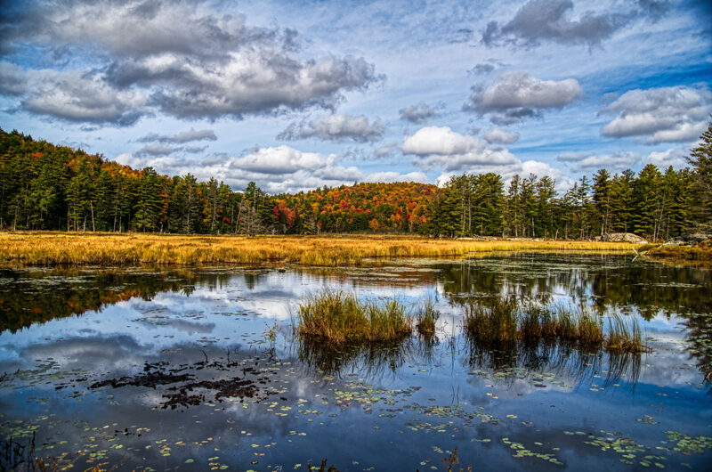 Autumn Pond by Fred McCagg