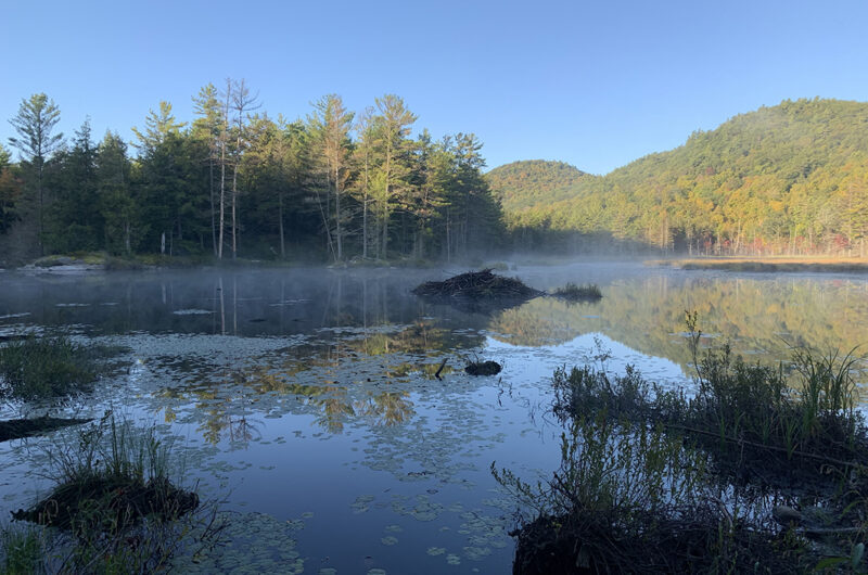 Misty Beaver Pond by Alex Novick