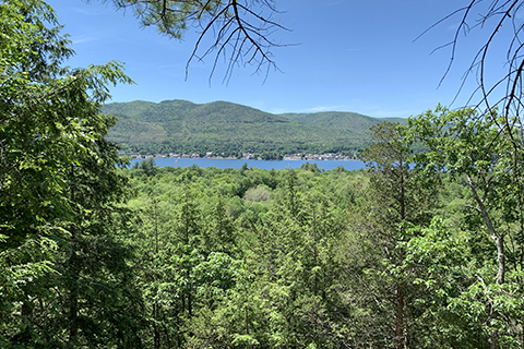 Scenic view from Wiawaka's mountainside. The lake is calm and blue, and the trees are green and lush.