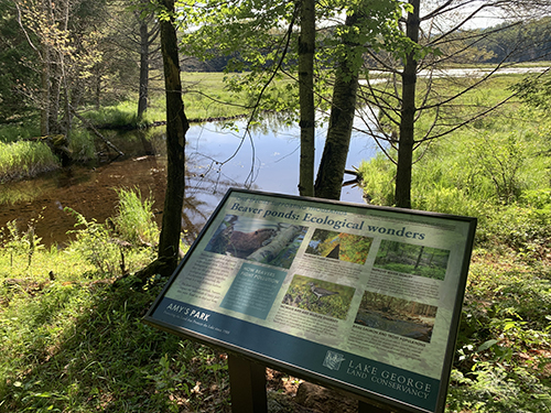 A wooden sign with the text "Beaver ponds Ecological wonders" stands next to a calm pond surrounded by trees.
