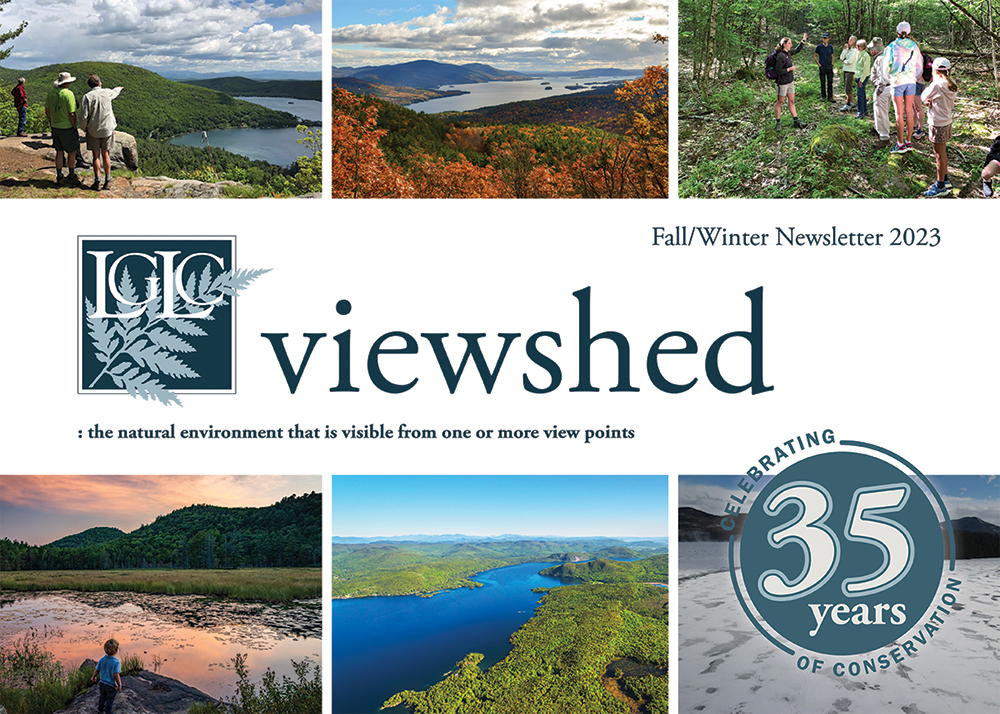 Cover image of the LGLC fall/winter newsletter, "viewshed."