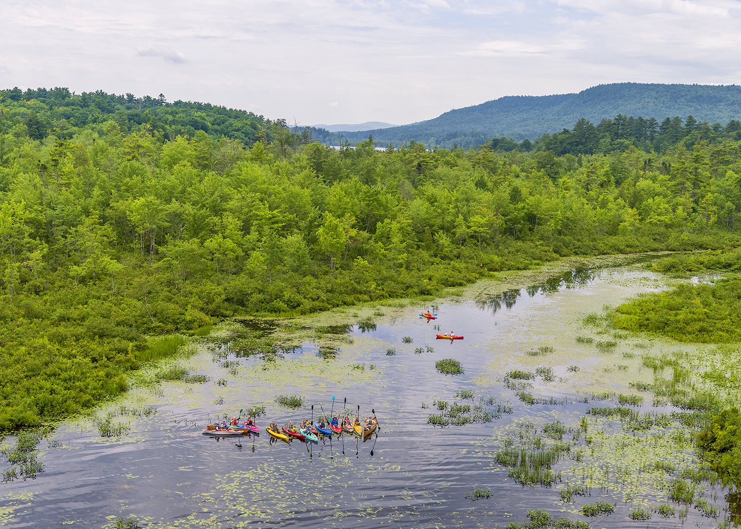 Bright green wetlands and trees border open water. About a dozen people are in brightly colored red, yellow, and blue kayaks on the water.