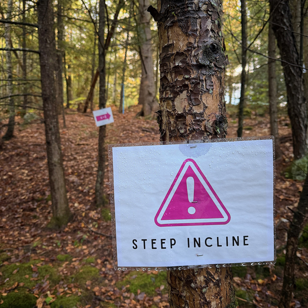 A sign reading "Steep Incline" is stapled to a tree trunk, in the woods.