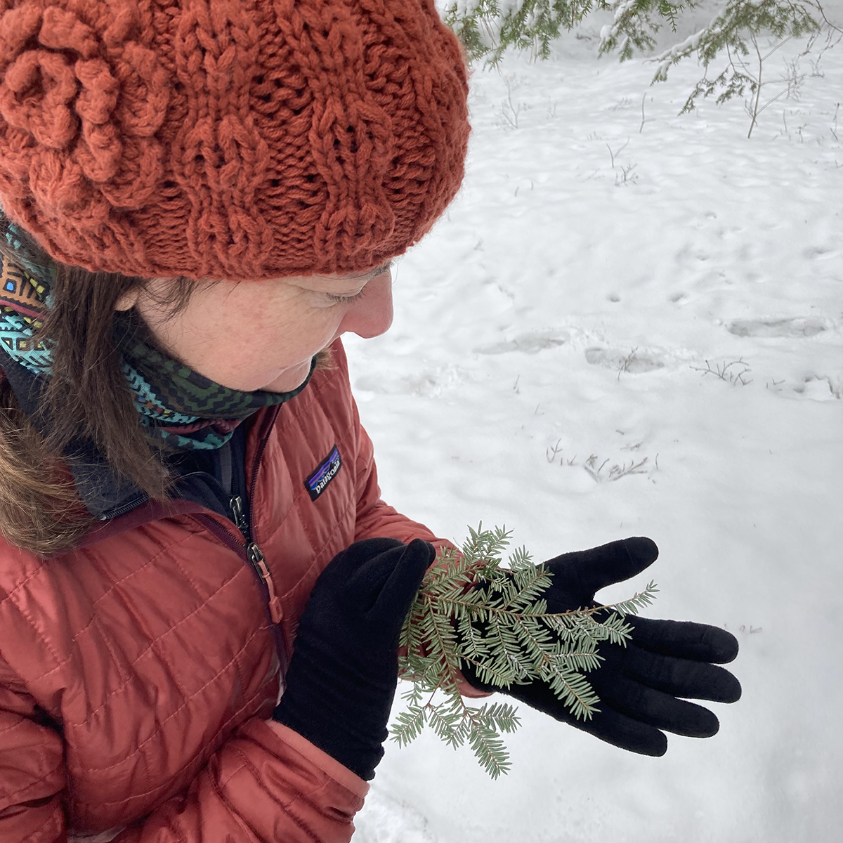 A woman wearing an orange hat and jacket inspects a small hemlock branch she's holding in her gloved hand.