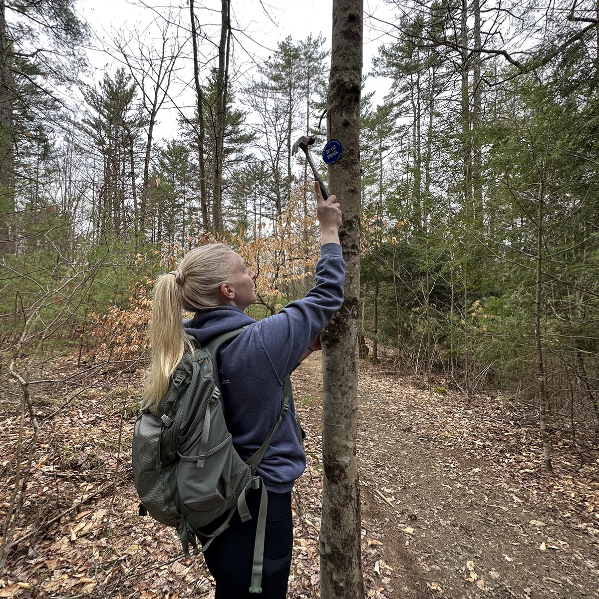 A woman with blond hair in a ponytail holds a hammer, poised to hit a nail into a tree. She is wearing a backpack, and is standing in the forest.